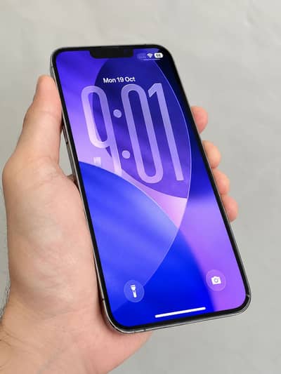 Apple iPhone 13 Pro Max