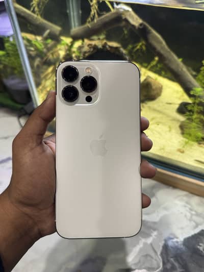 Apple iPhone 13 Pro Max