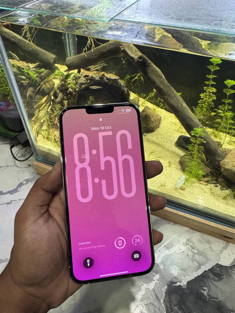 Apple iPhone 13 Pro Max 1