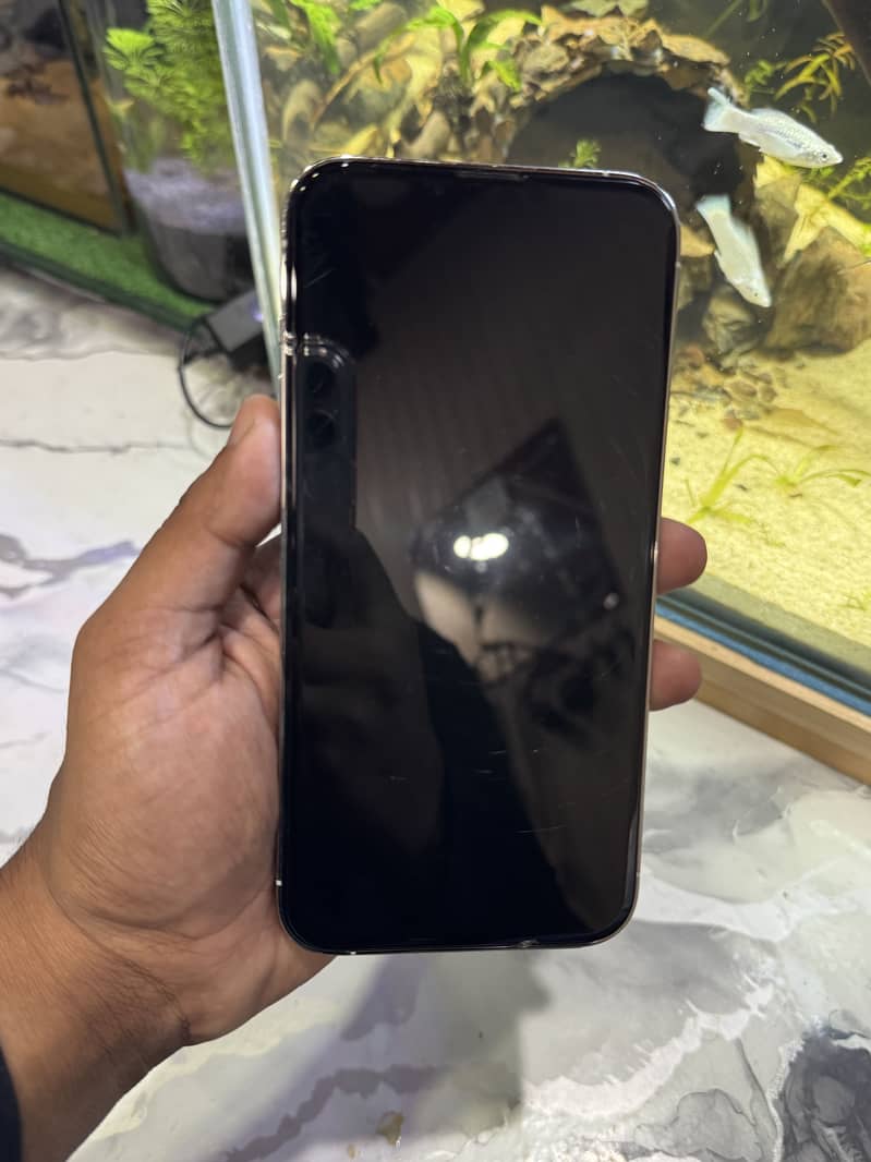 Apple iPhone 13 Pro Max 2