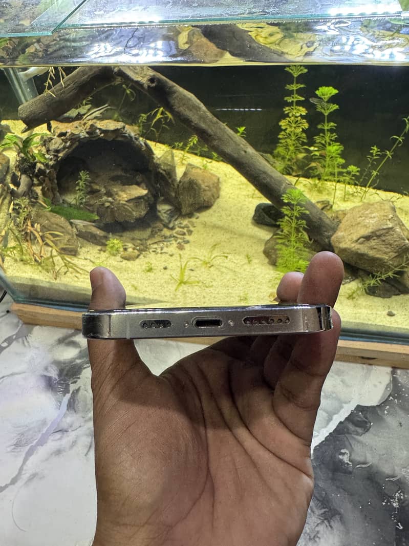 Apple iPhone 13 Pro Max 6