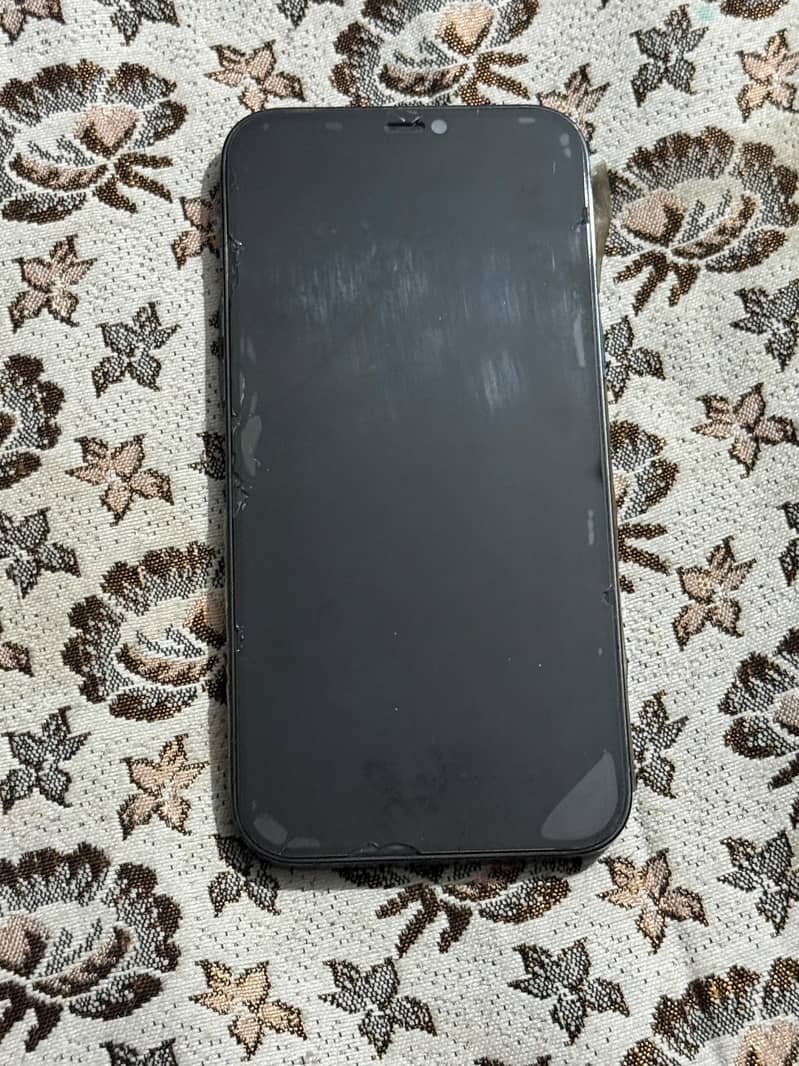 Apple iPhone 12 Pro Max 1