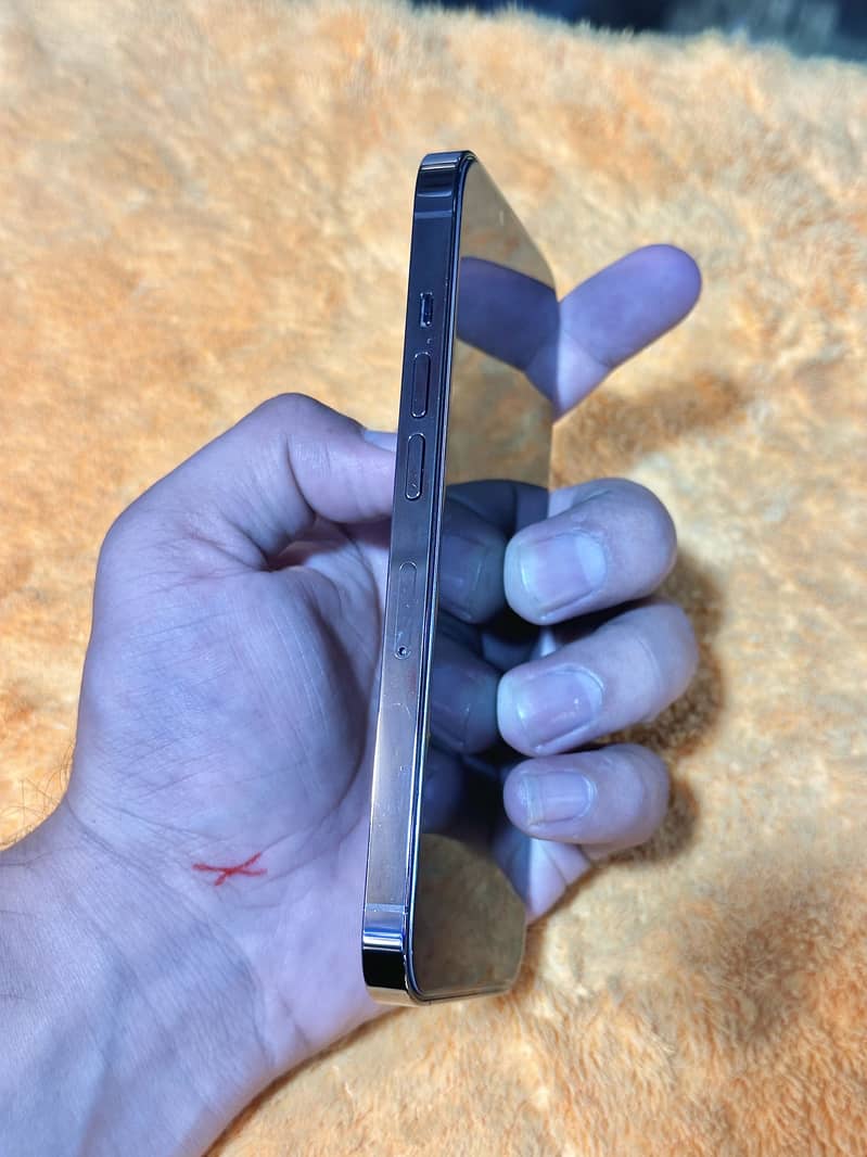 Apple iPhone 13 Pro 3