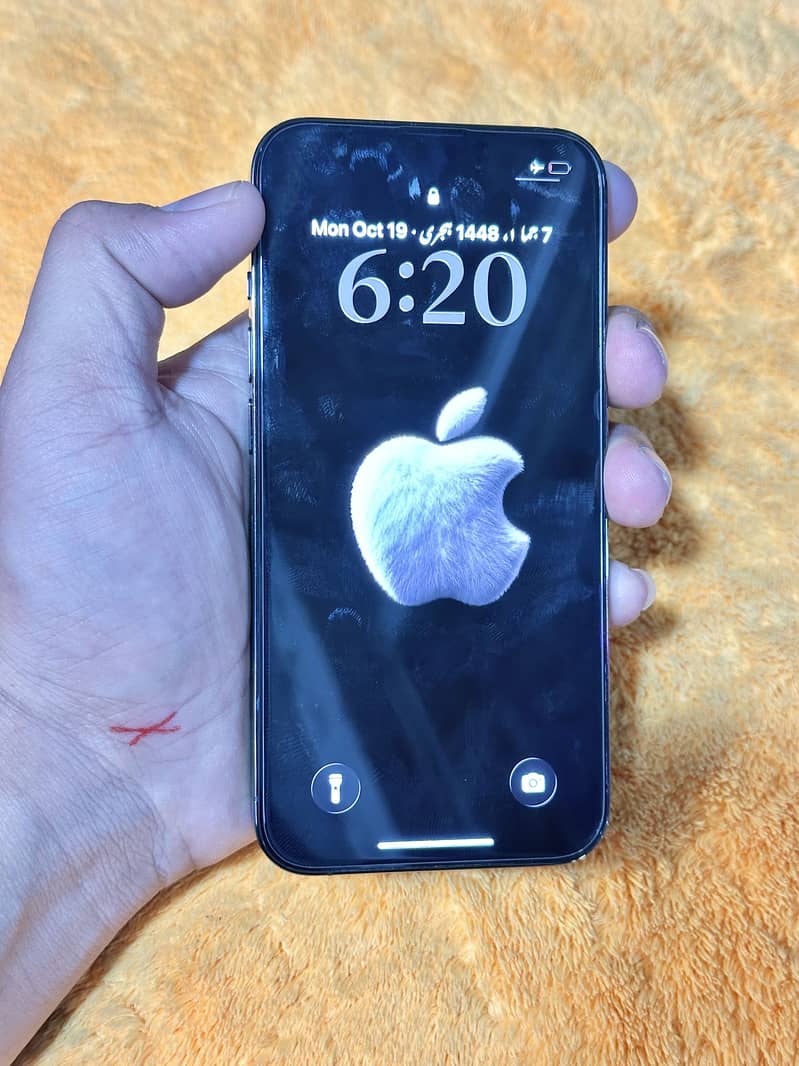 Apple iPhone 13 Pro 5