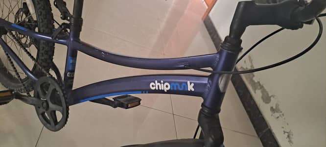 Chipmunk Bicycle for Kids