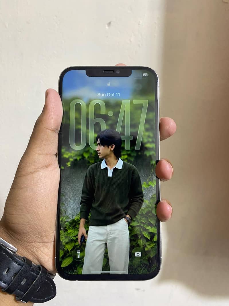 Apple iPhone 12 Pro Max 2