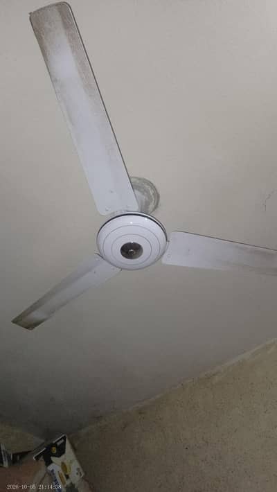 New fan hin sirf 4 mnt use hin ws3348638284