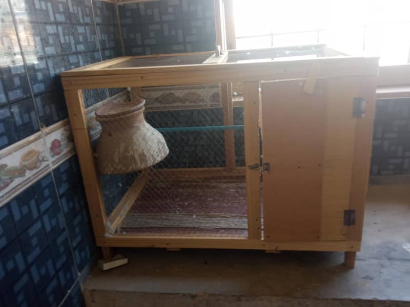 rambow pair with cage 8