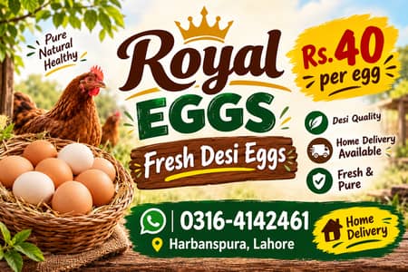 50gram Plus Egg / Fresh Desi Egg