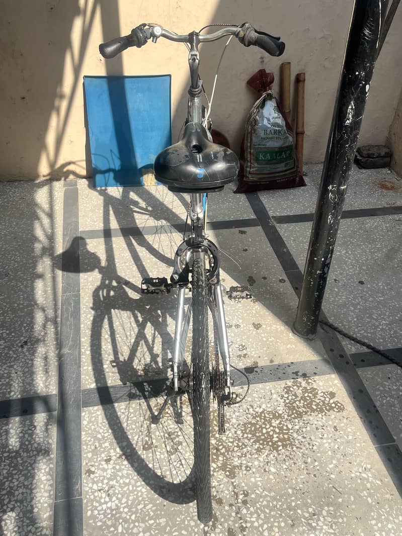 Imported bicycle 1