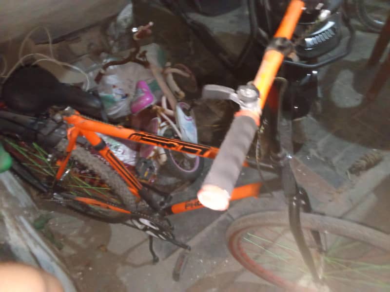 phoenix cycle 0