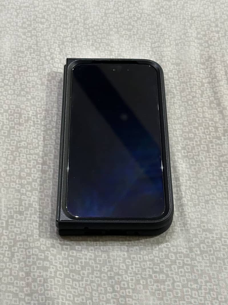 Google Pixel 9 Pro Fold 1
