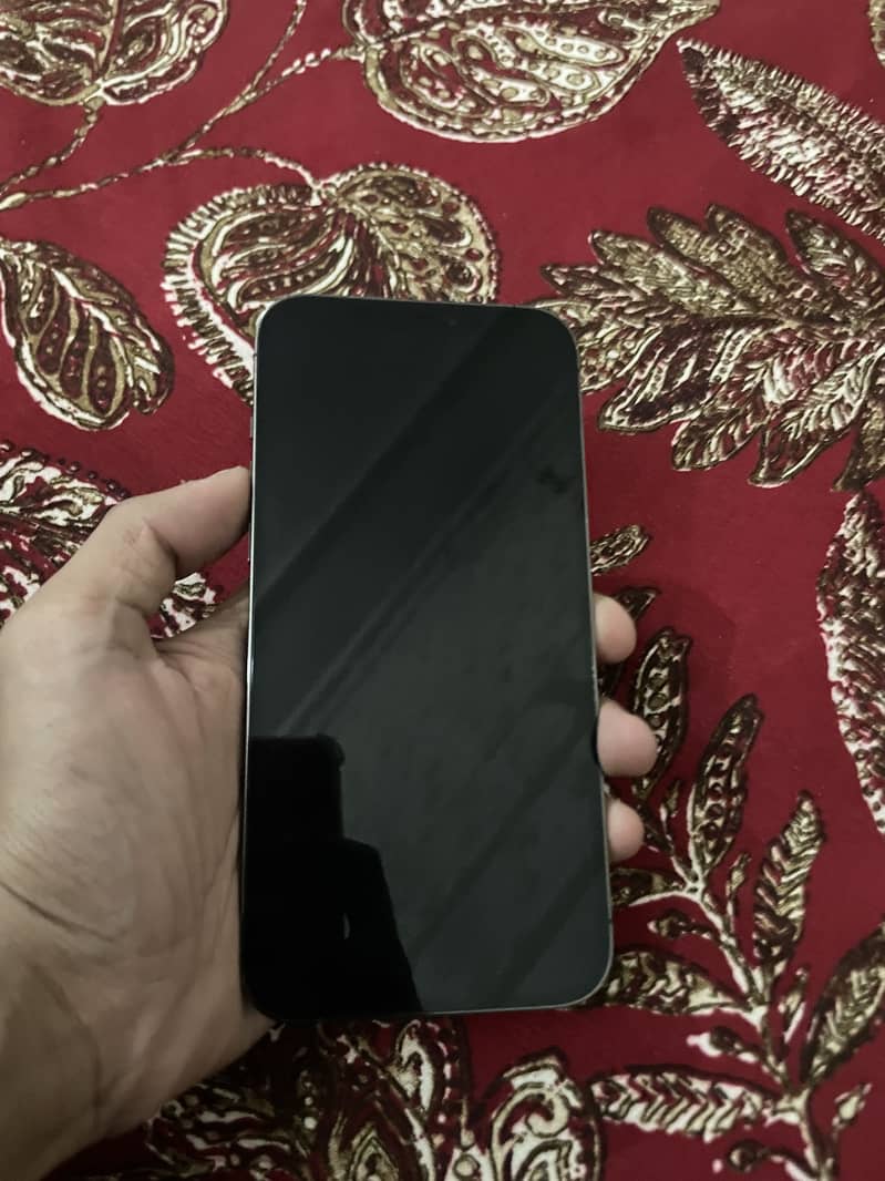 Apple iPhone 12 Pro Max 1
