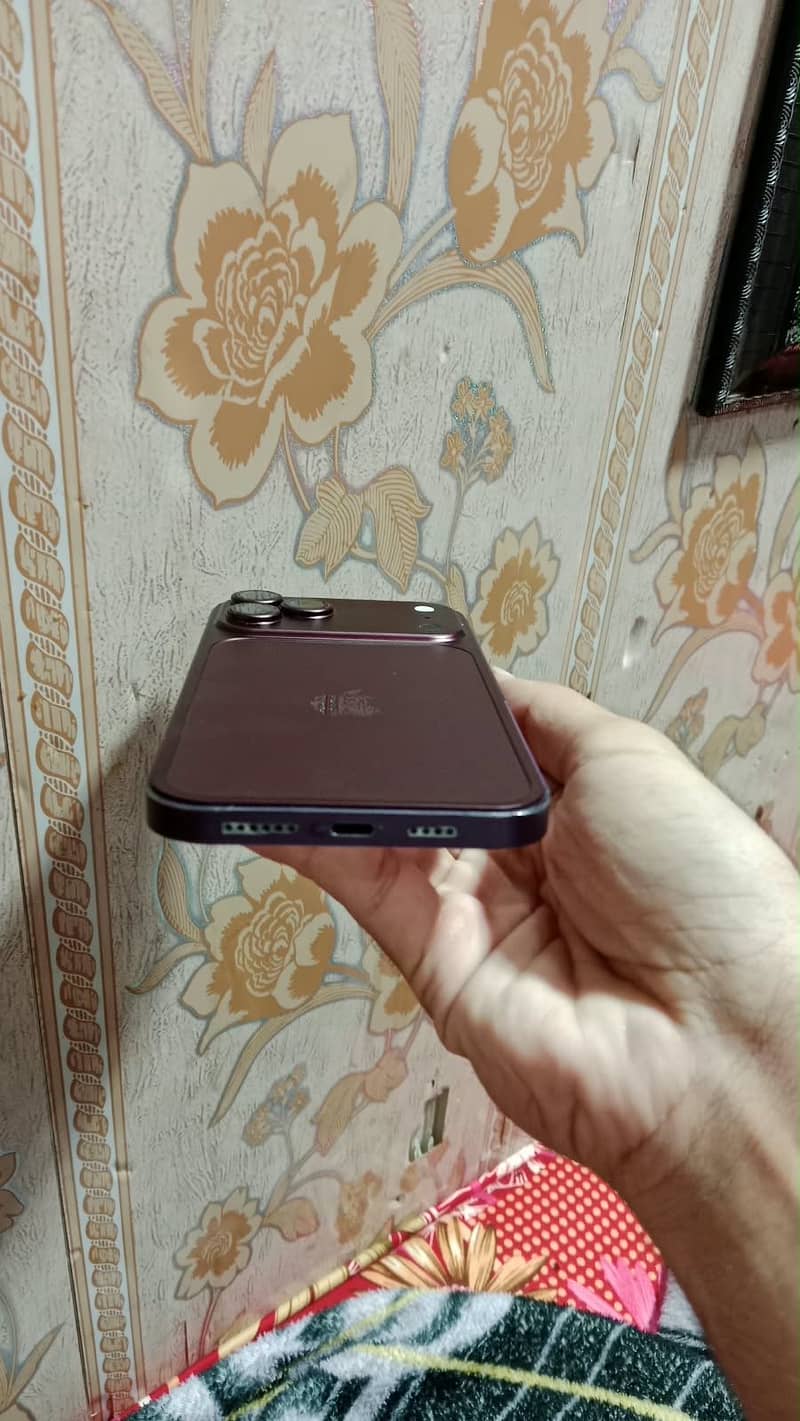Apple iPhone 12 Pro Max 2