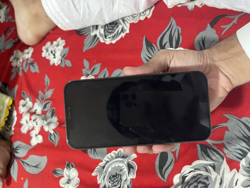 Apple iPhone 12 Pro Max 11