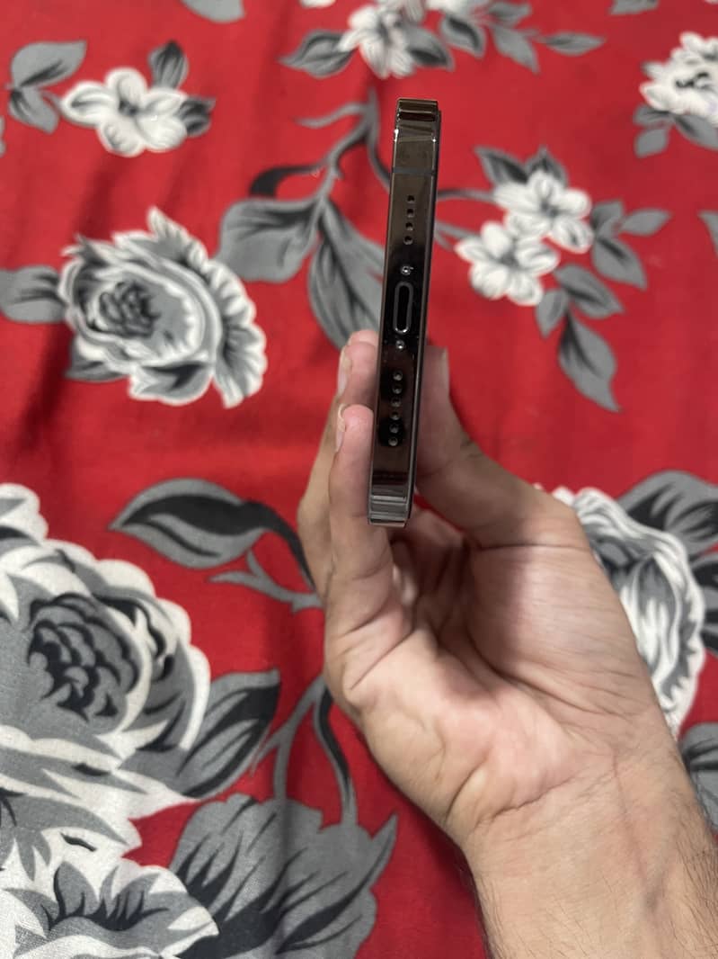 Apple iPhone 12 Pro Max 13