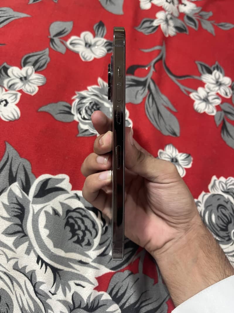 Apple iPhone 12 Pro Max 14