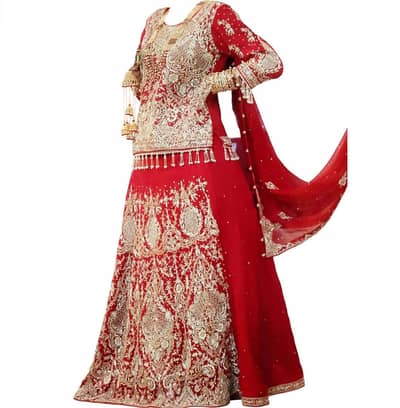 red bridal heavy embroidery sharara