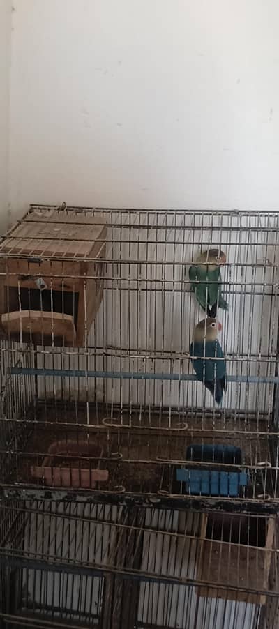1.5 by 15 Cage For Sale .
