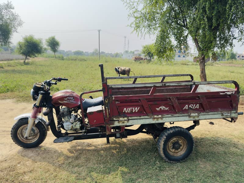 New Asia loader 1