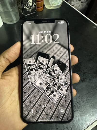Apple iPhone 12 Pro Max