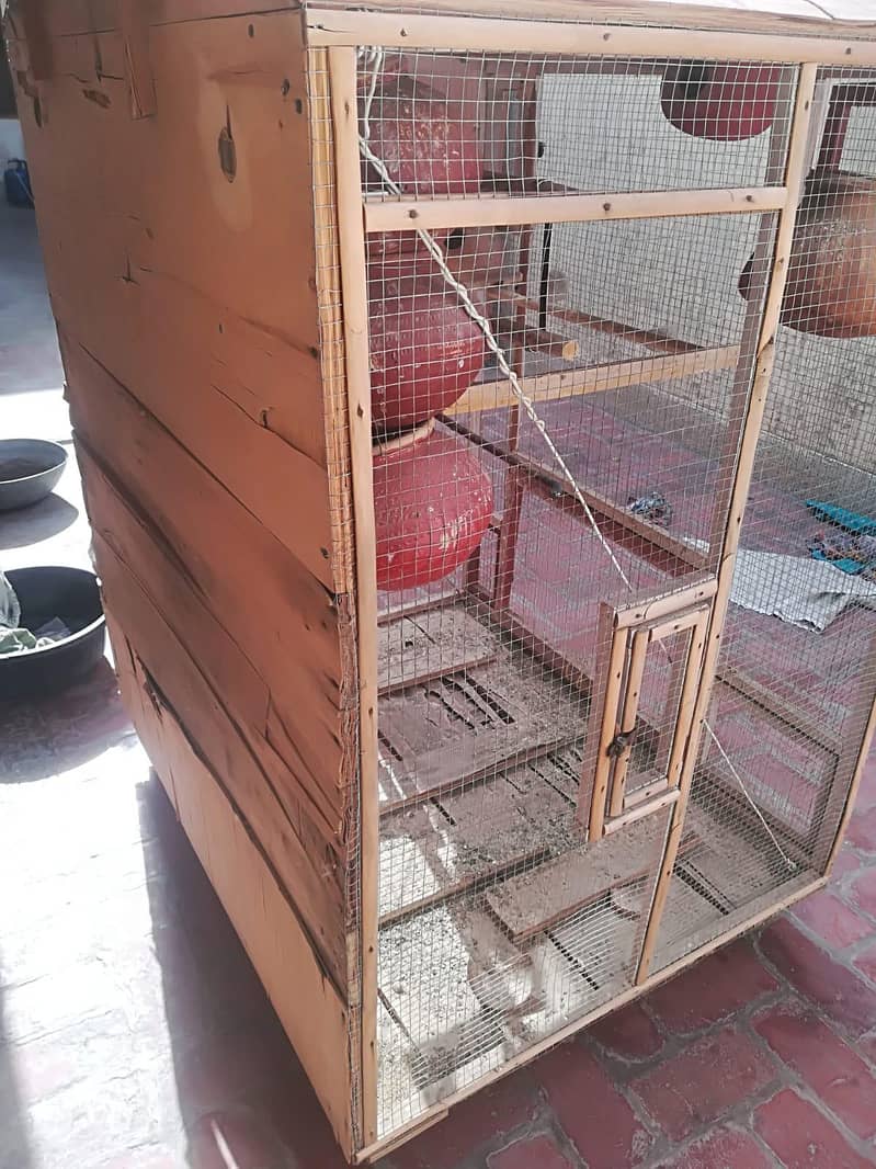 Parrot Cage 1