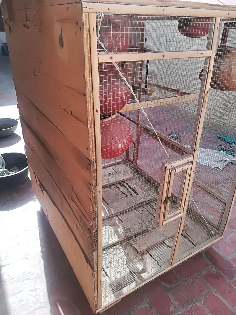 Parrot Cage — photo 2