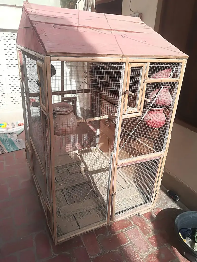 Parrot Cage — photo 3