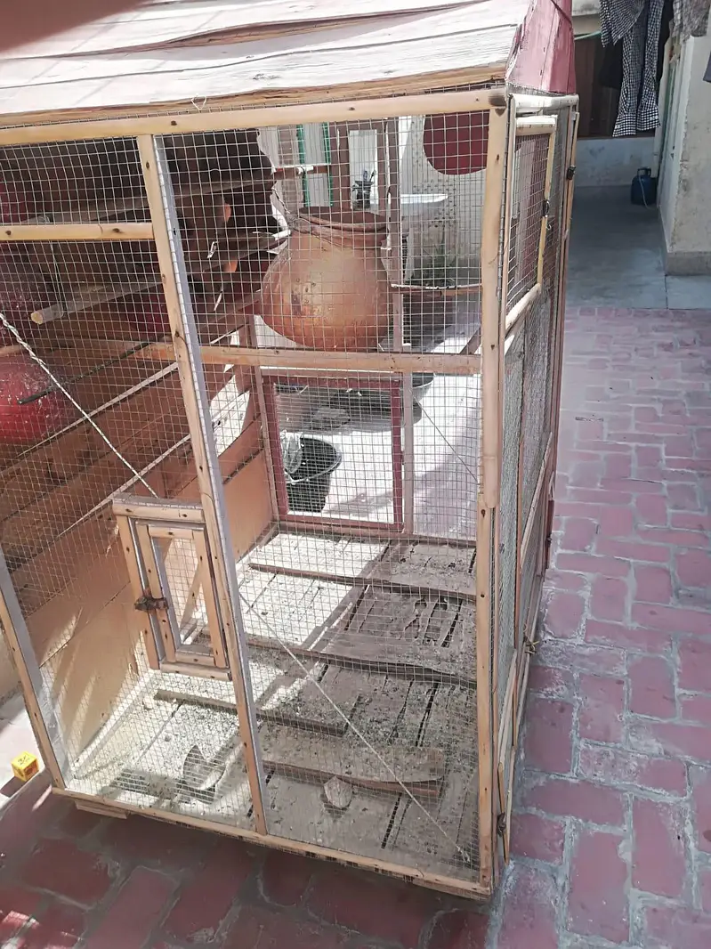 Parrot Cage — photo 4