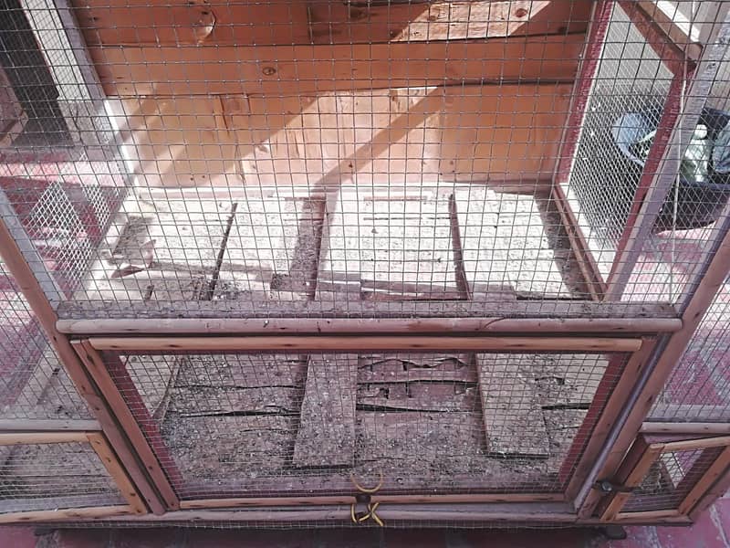 Parrot Cage 4
