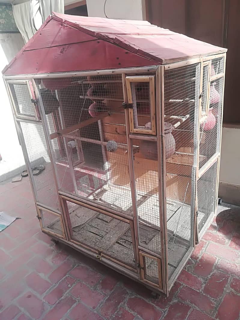 Parrot Cage 6