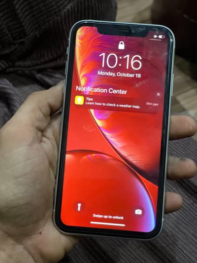 Apple iPhone XR
