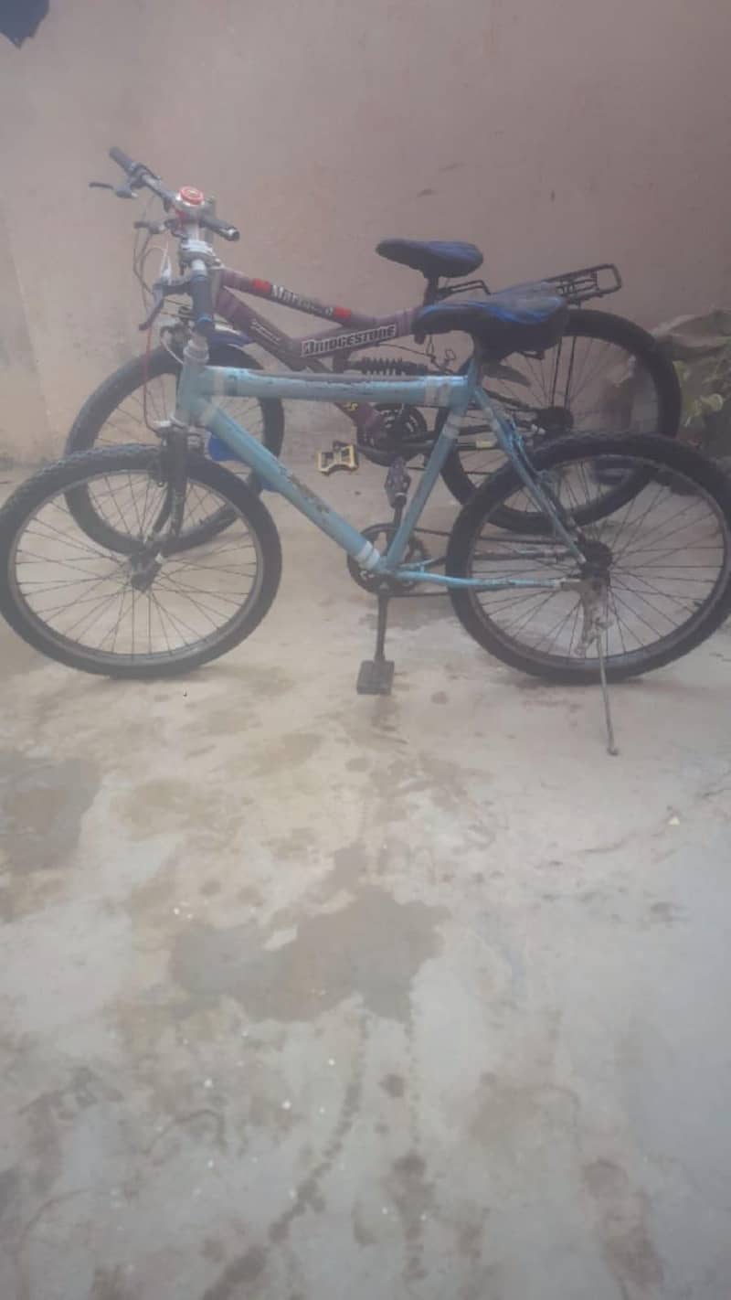 bicycle 2