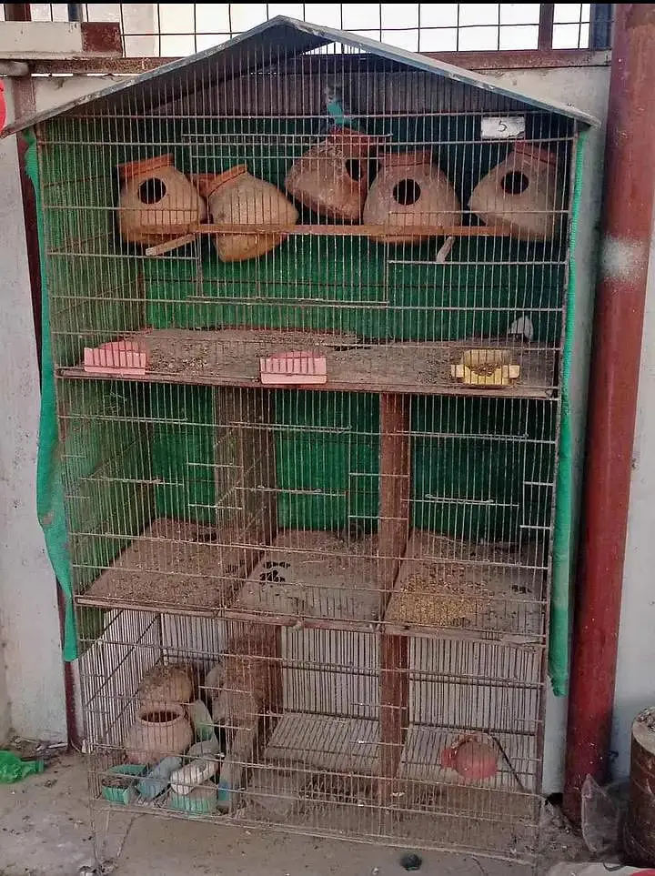 cage for sale