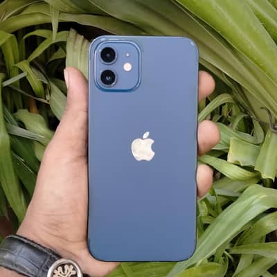 Apple iPhone 12