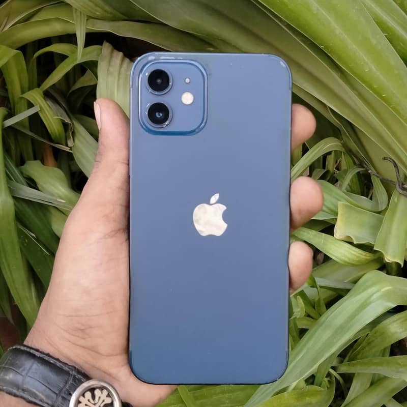 Apple iPhone 12 0