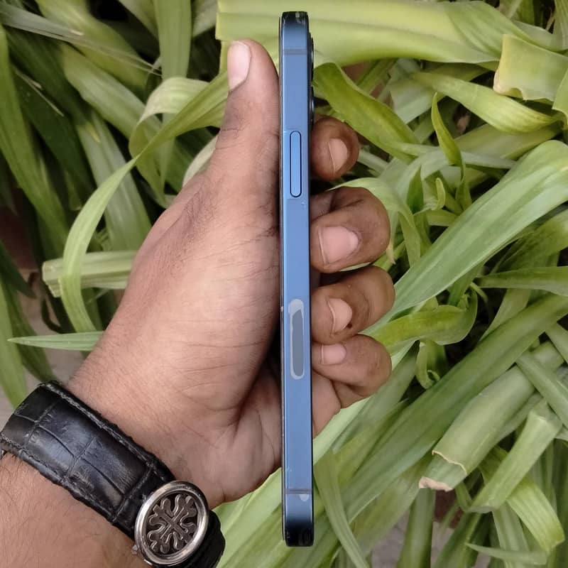 Apple iPhone 12 2