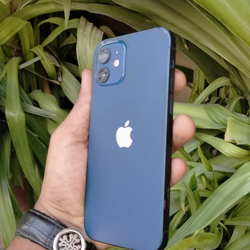 Apple iPhone 12 3