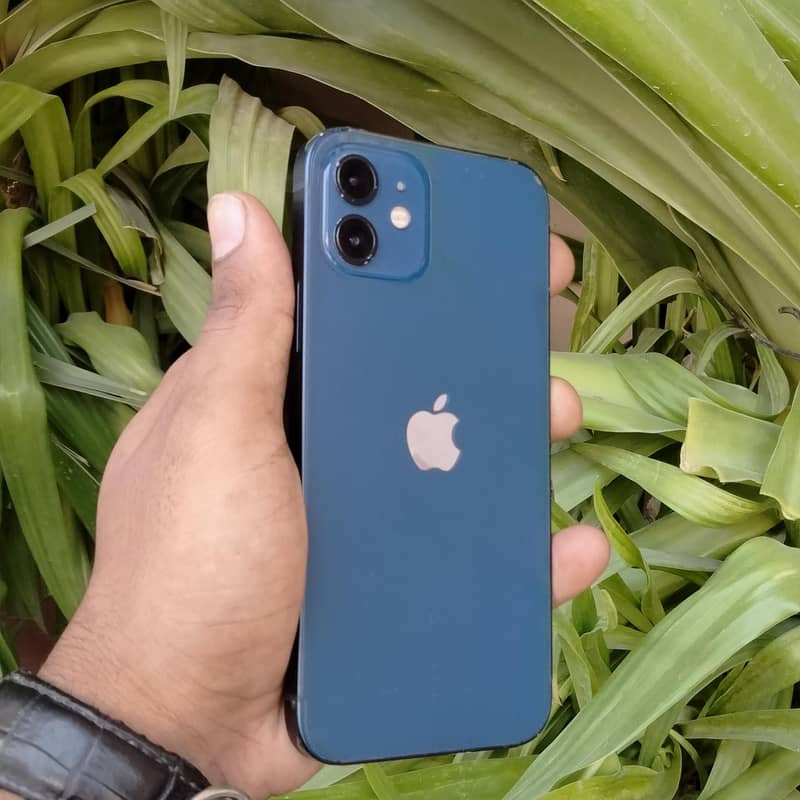 Apple iPhone 12 4