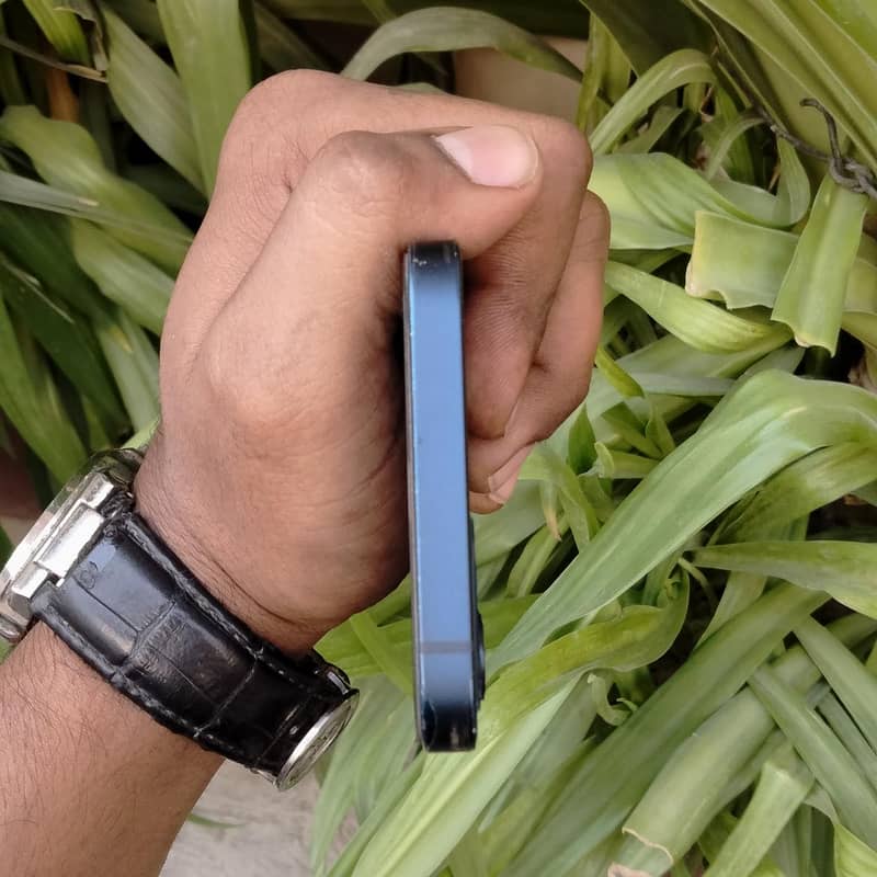 Apple iPhone 12 5