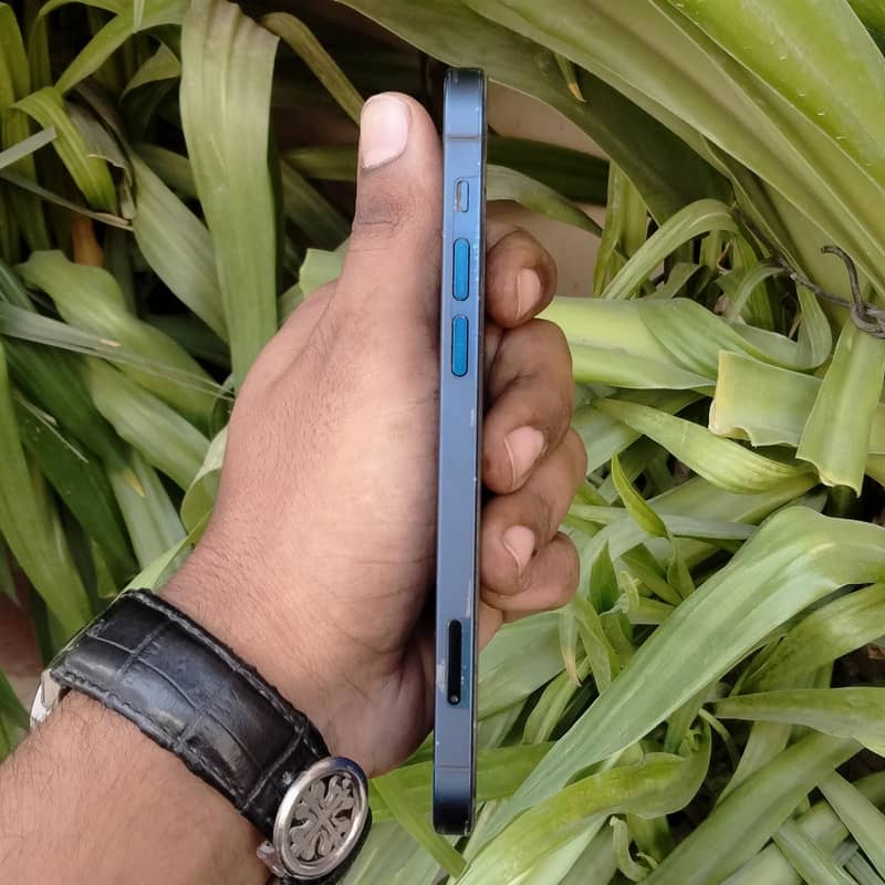 Apple iPhone 12 6