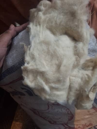 Desi roi for sale in normal price