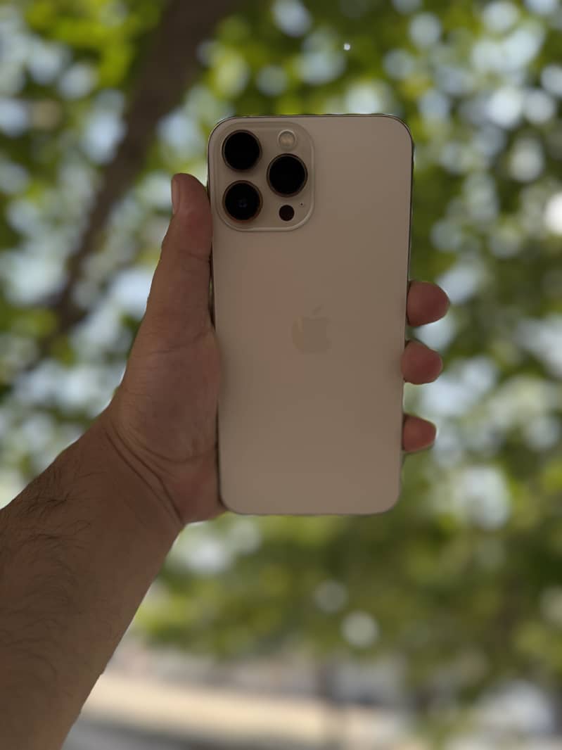Apple iPhone 13 Pro Max 1