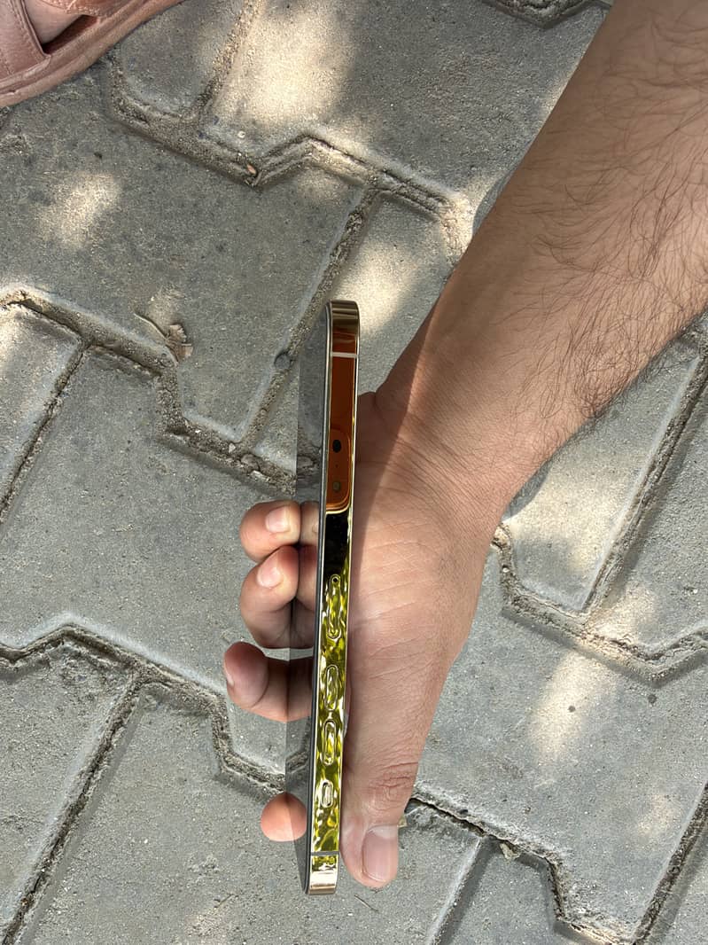 Apple iPhone 13 Pro Max 3