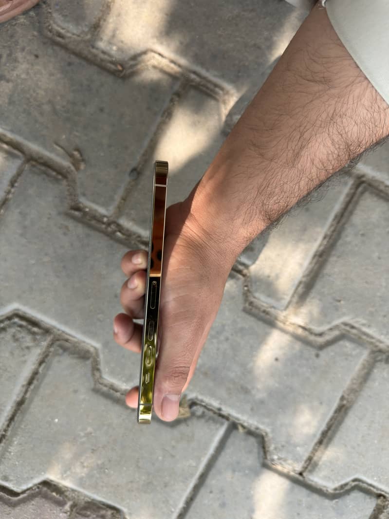 Apple iPhone 13 Pro Max 4