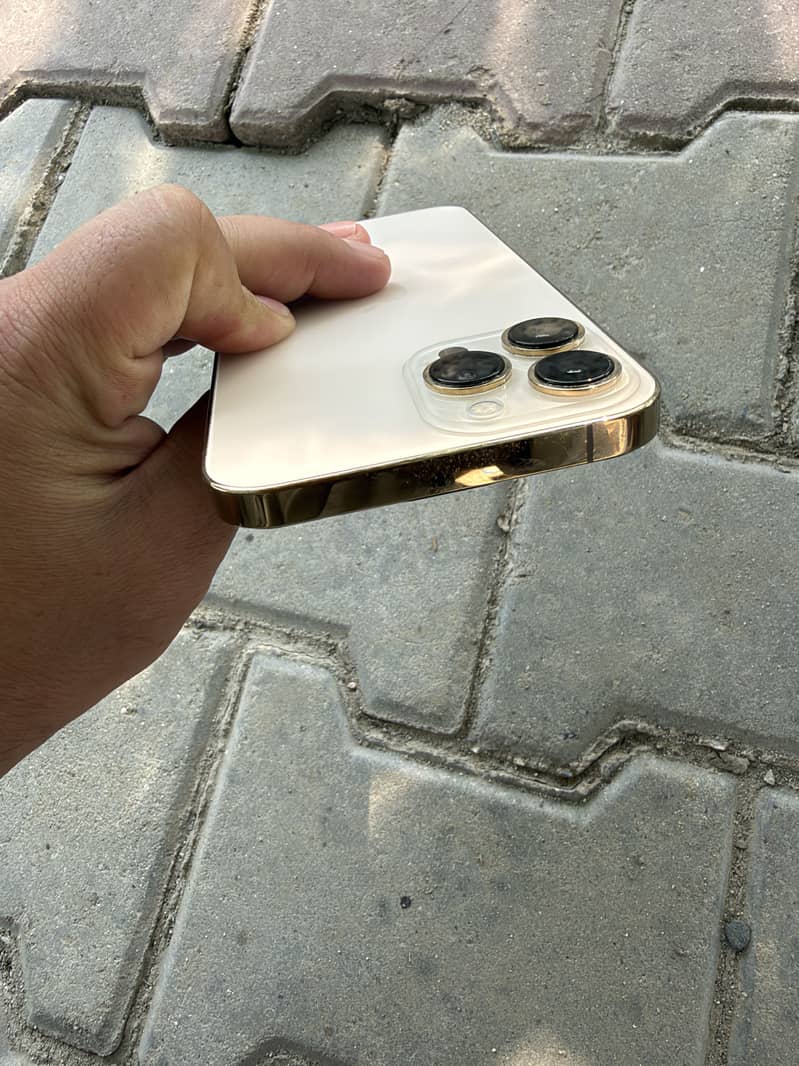 Apple iPhone 13 Pro Max 9