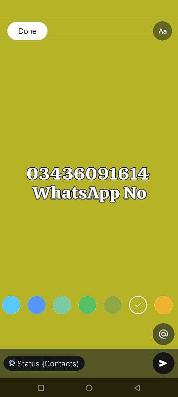 Kashmiri ray parrot for sale 2 year - Parrots - 1120656950
