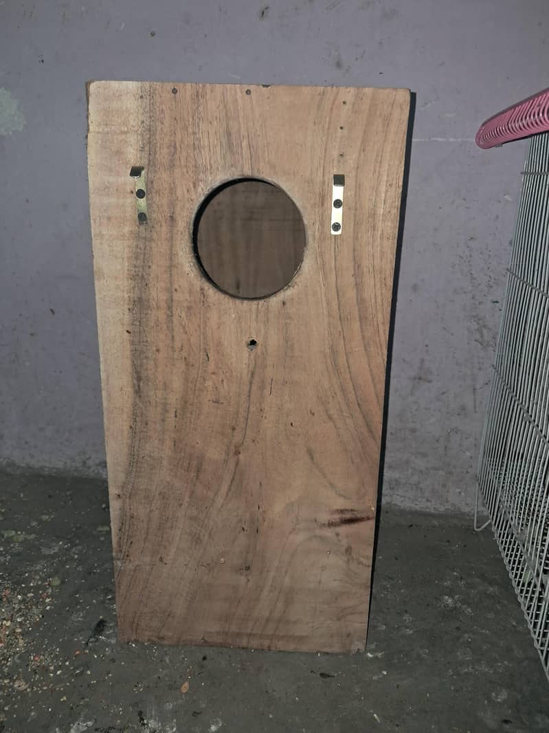 Raw parrot 4