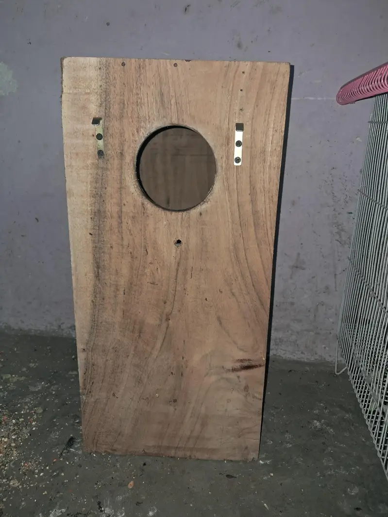 Raw parrot — photo 5