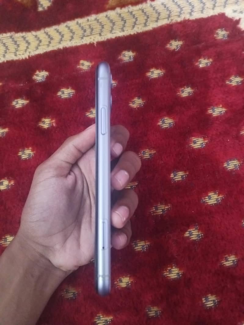 Apple iPhone 11 2